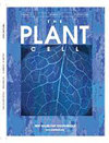 PLANT CELL封面